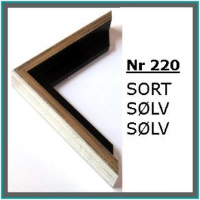 Nr 220 Sort Slv Slv